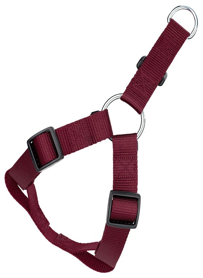 كانتري بروك ديزاين سرج كلاب قابل للتعديل من النايلون من Country Brook Petz - تشكيلة ألوان نابضة بالحياة تضم أكثر من 20 لونًا (متوسط، عرض 3/4 بوصة، عنابي) - Image 1